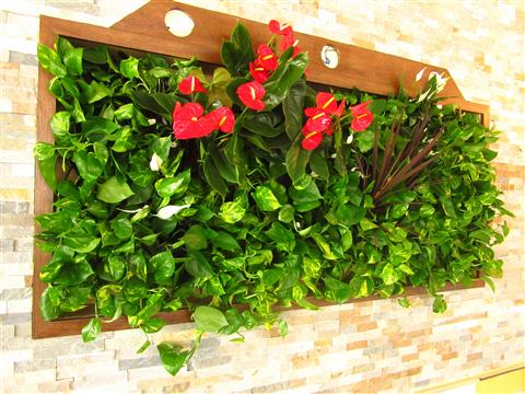Grădină verticală cu plante naturale – Hotel Riviera Sinaia, foto 1 din 11