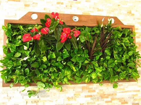 Grădină verticală cu plante naturale – Hotel Riviera Sinaia, foto 3 din 11