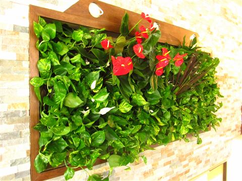 Grădină verticală cu plante naturale – Hotel Riviera Sinaia, foto 5 din 11
