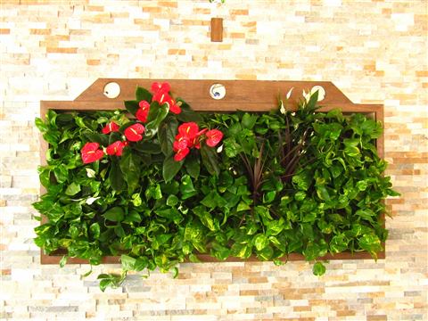 Grădină verticală cu plante naturale – Hotel Riviera Sinaia, foto 8 din 11