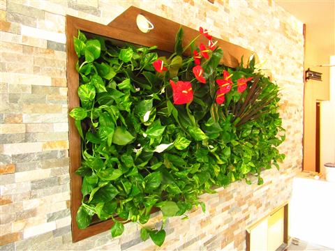 Grădină verticală cu plante naturale – Hotel Riviera Sinaia, foto 10 din 11