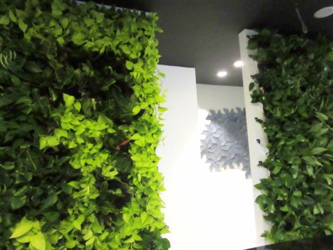 Grădină verticală cu plante naturale – Rosetti Tower, foto 2 din 12