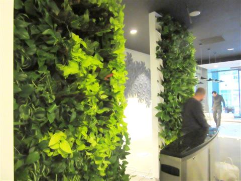 Grădină verticală cu plante naturale – Rosetti Tower, foto 3 din 12