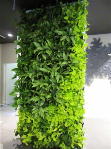 Grădină verticală cu plante naturale – Rosetti Tower, foto 5 din 12