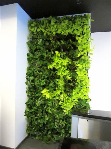 Grădină verticală cu plante naturale – Rosetti Tower, foto 6 din 12