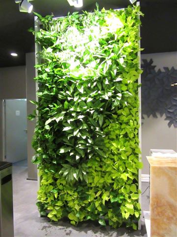Grădină verticală cu plante naturale – Rosetti Tower, foto 7 din 12