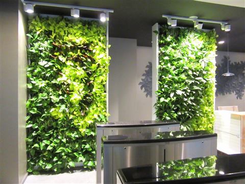 Grădină verticală cu plante naturale – Rosetti Tower, foto 8 din 12