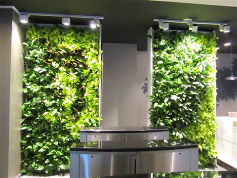Grădină verticală cu plante naturale – Rosetti Tower, foto 9 din 12