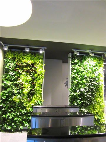 Grădină verticală cu plante naturale – Rosetti Tower, foto 10 din 12