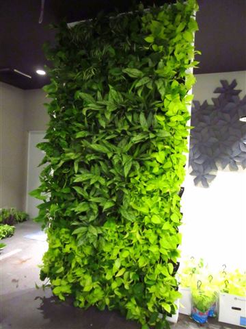 Grădină verticală cu plante naturale – Rosetti Tower, foto 11 din 12