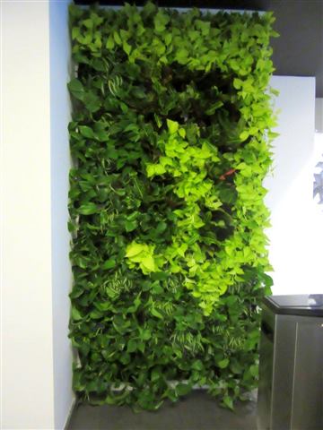Grădină verticală cu plante naturale – Rosetti Tower, foto 12 din 12