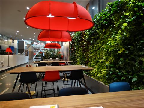 Grădină verticală cu plante naturale – S-Park, foto 2 din 8