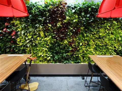 Grădină verticală cu plante naturale – S-Park, foto 3 din 8
