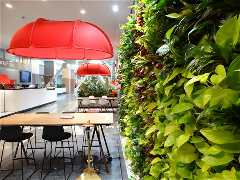 Grădină verticală cu plante naturale – S-Park, foto 4 din 8