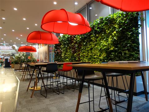 Grădină verticală cu plante naturale – S-Park, foto 6 din 8