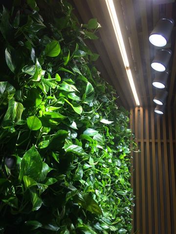 Grădină verticală cu plante naturale – The Park, foto 3 din 12