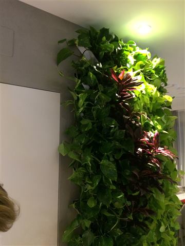 Grădină verticală cu plante naturale – The Park, foto 6 din 12