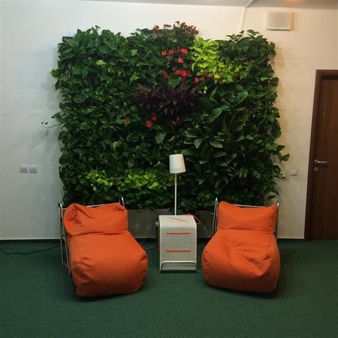Grădină verticală cu plante naturale – UiPath, foto 1 din 66