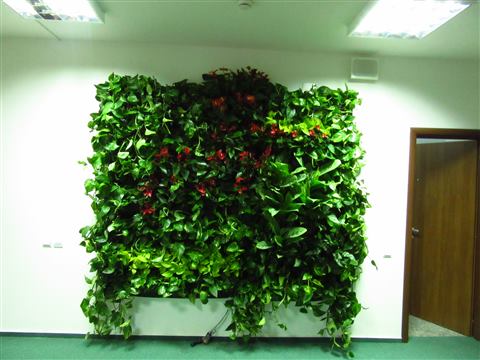 Grădină verticală cu plante naturale – UiPath, foto 2 din 66