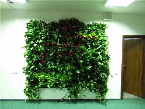 Grădină verticală cu plante naturale – UiPath, foto 3 din 66