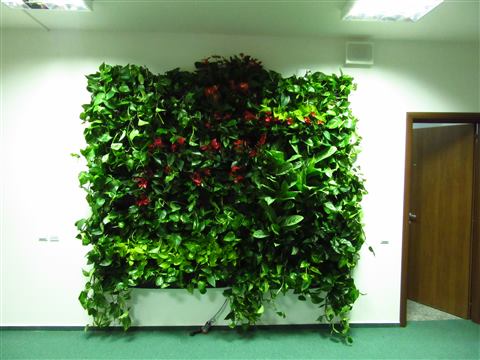 Grădină verticală cu plante naturale – UiPath, foto 4 din 66