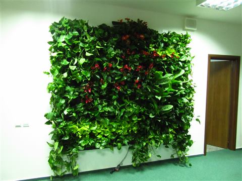 Grădină verticală cu plante naturale – UiPath, foto 5 din 66