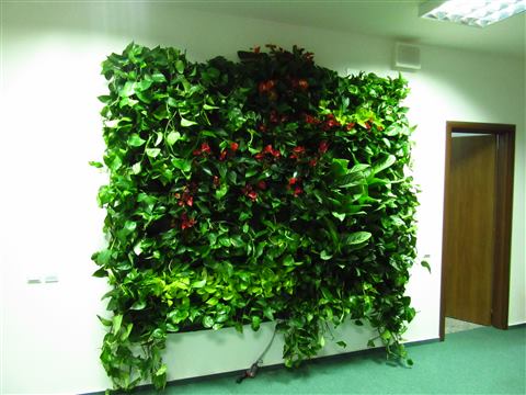 Grădină verticală cu plante naturale – UiPath, foto 6 din 66