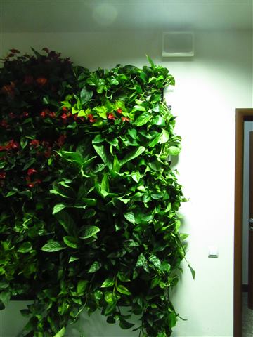 Grădină verticală cu plante naturale – UiPath, foto 7 din 66