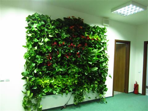 Grădină verticală cu plante naturale – UiPath, foto 8 din 66