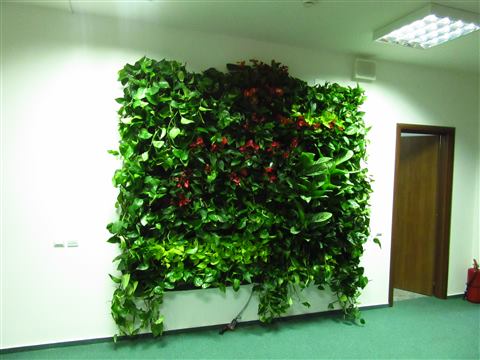Grădină verticală cu plante naturale – UiPath, foto 9 din 66