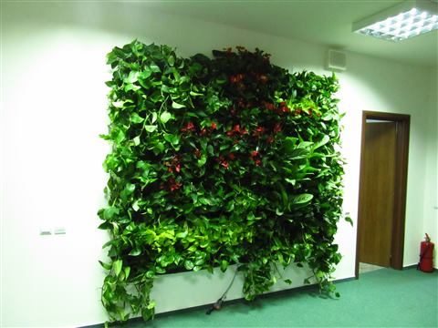 Grădină verticală cu plante naturale – UiPath, foto 10 din 66