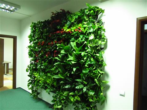 Grădină verticală cu plante naturale – UiPath, foto 11 din 66