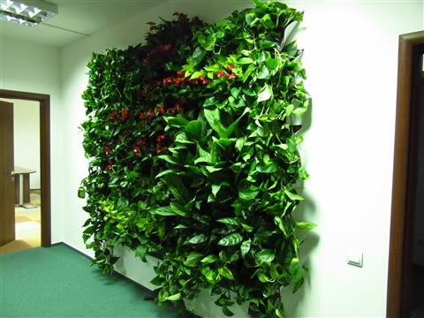 Grădină verticală cu plante naturale – UiPath, foto 12 din 66
