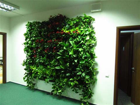 Grădină verticală cu plante naturale – UiPath, foto 13 din 66