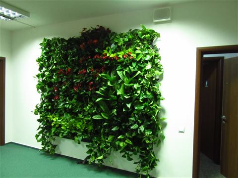 Grădină verticală cu plante naturale – UiPath, foto 14 din 66