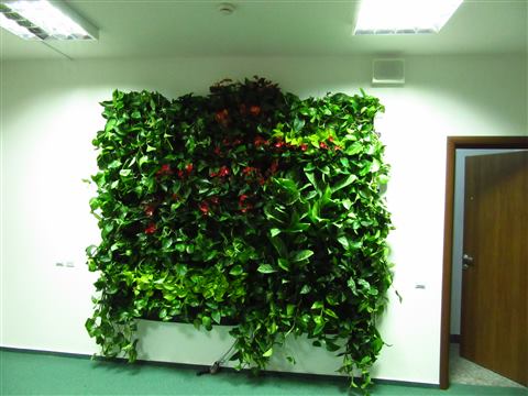 Grădină verticală cu plante naturale – UiPath, foto 15 din 66