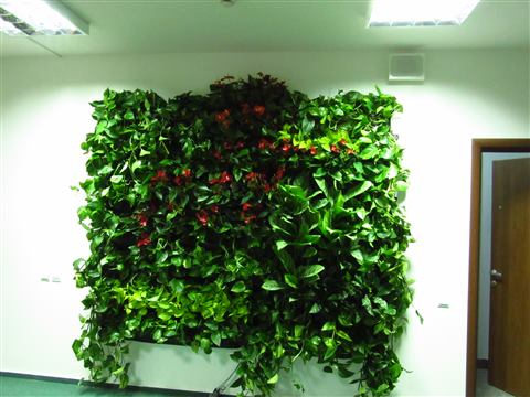 Grădină verticală cu plante naturale – UiPath, foto 17 din 66