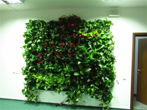 Grădină verticală cu plante naturale – UiPath, foto 18 din 66