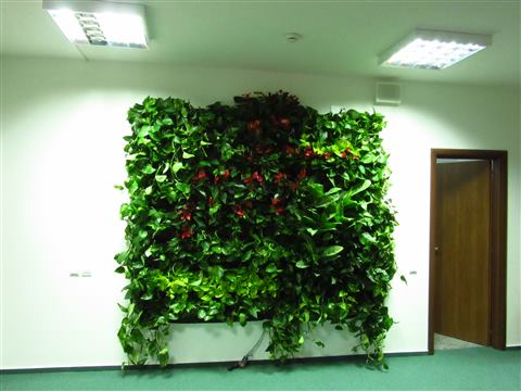 Grădină verticală cu plante naturale – UiPath, foto 19 din 66