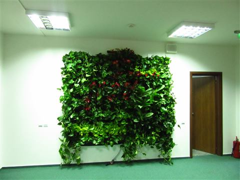 Grădină verticală cu plante naturale – UiPath, foto 20 din 66