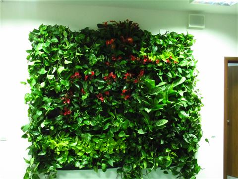 Grădină verticală cu plante naturale – UiPath, foto 21 din 66