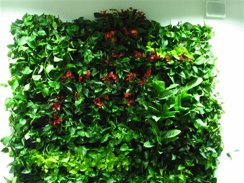 Grădină verticală cu plante naturale – UiPath, foto 22 din 66