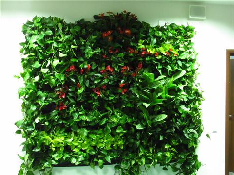 Grădină verticală cu plante naturale – UiPath, foto 23 din 66