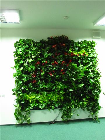 Grădină verticală cu plante naturale – UiPath, foto 24 din 66