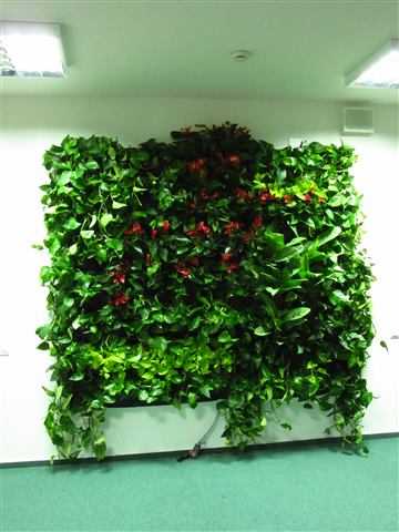 Grădină verticală cu plante naturale – UiPath, foto 25 din 66