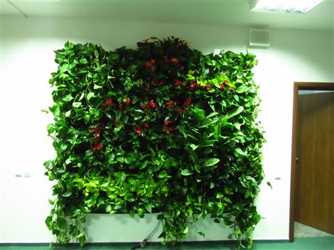 Grădină verticală cu plante naturale – UiPath, foto 31 din 66