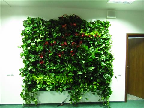 Grădină verticală cu plante naturale – UiPath, foto 32 din 66
