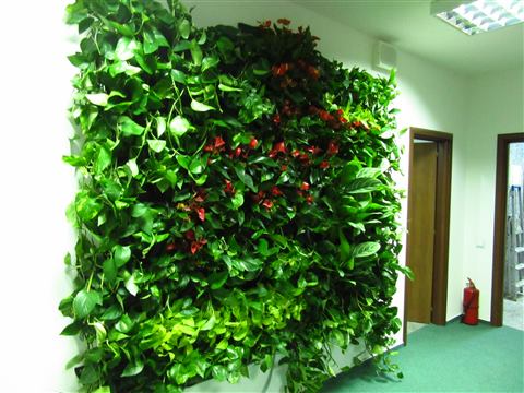 Grădină verticală cu plante naturale – UiPath, foto 33 din 66