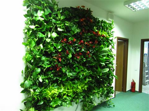 Grădină verticală cu plante naturale – UiPath, foto 34 din 66