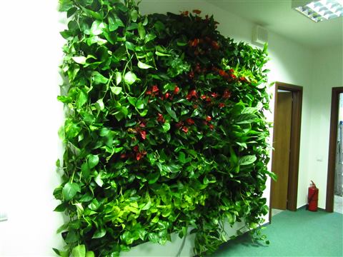 Grădină verticală cu plante naturale – UiPath, foto 35 din 66